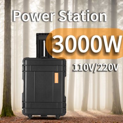 3kw Power Banks Cargador Instalado en la estación de energía de onda senoidal pura para la solicitud personalizada