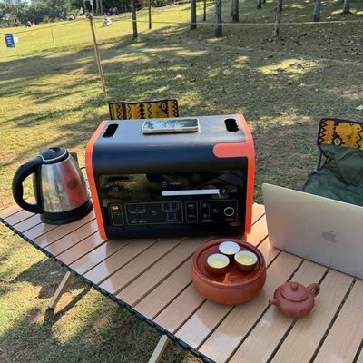Generador solar móvil de alta potencia de carga solar de 800W Max para automóvil y solicitud personalizada
