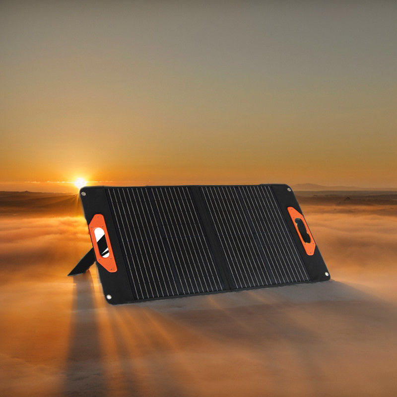22Eficiencia de conversión del 0,8% Panel solar 50W 60W 100W 200W para sistemas solares pequeños