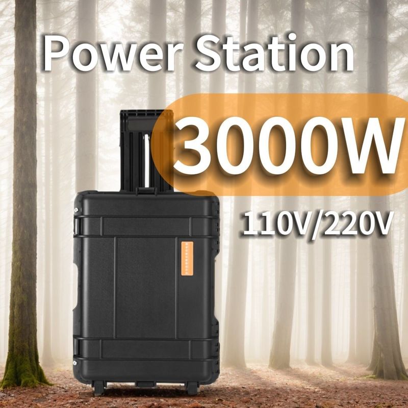 3kw Power Banks Cargador Instalado en la estación de energía de onda senoidal pura para la solicitud personalizada